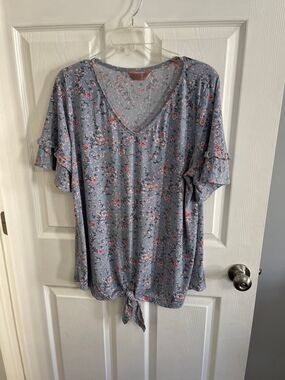 AMANA Short Sleeve Top Size 2X Blue Floral